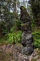 032 Big Island, Hilo, Pahoa Lava Tree State Monument